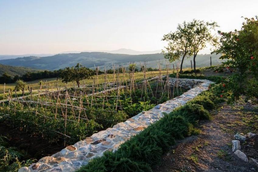 Ferienvilla 'Casale Galli' mit eigenem Pool - foto 31