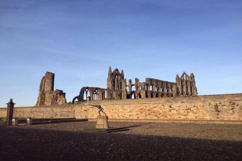 Oystercatcher - foto 27