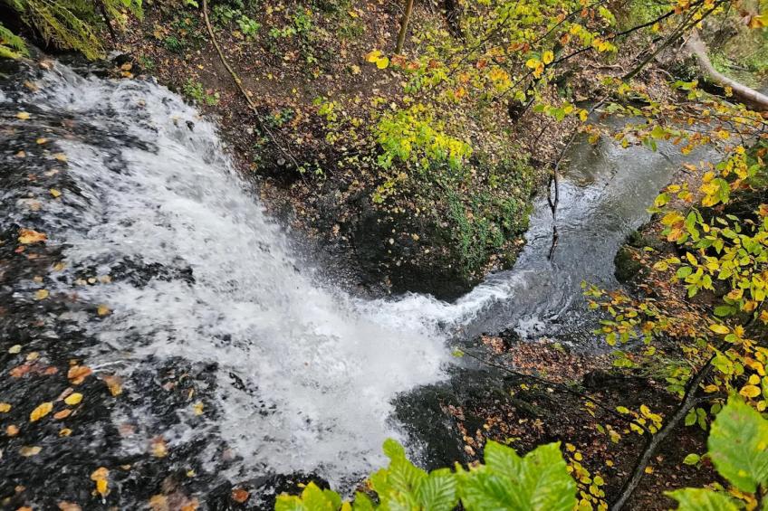 Vakantiehuis, Wieda - foto 36