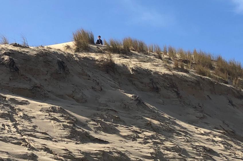 Schönes Appartment in ruhiger Lage in einer baumbestandenen Residenz mit beheiz - foto 31