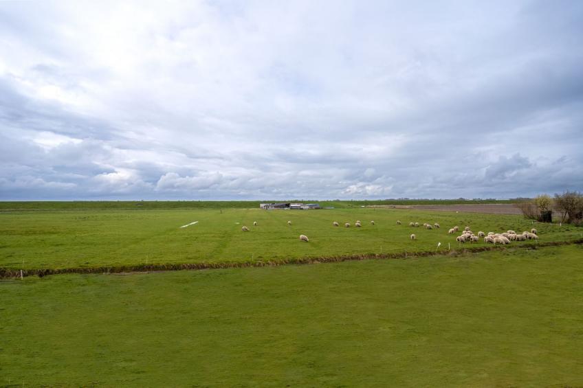 DHH Lahnung - foto 23