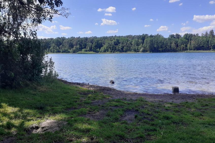 Luxus-Familienappartement / 2 Personen - foto 36