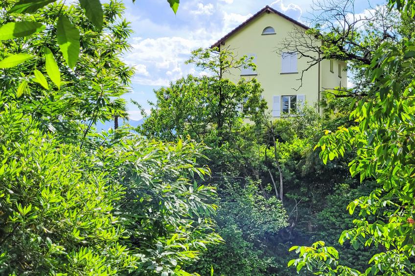 Vernice Gialla - foto 27