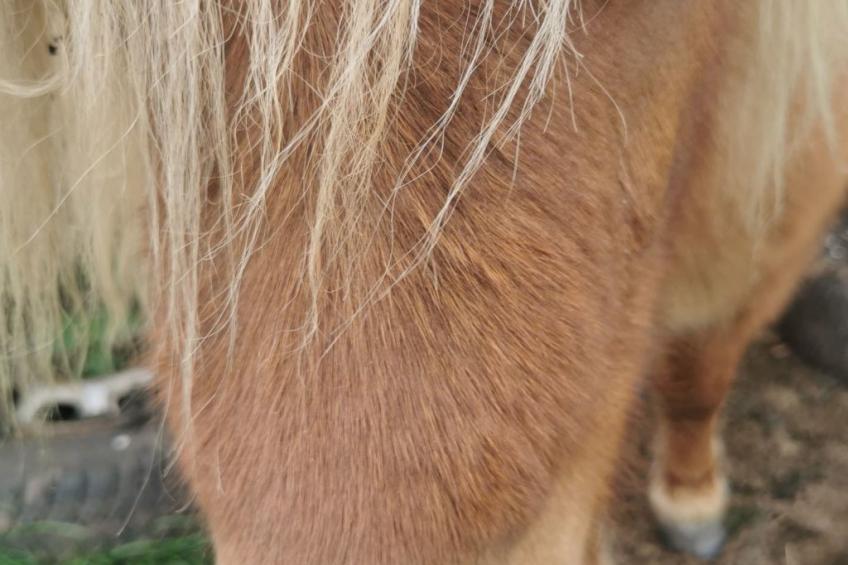Herzfennerhof Loft - foto 20