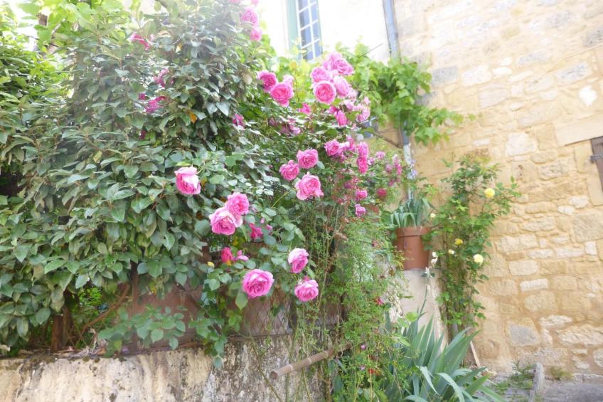 Haus freistehend Sonne Bett 160cm Patio billig - foto 18