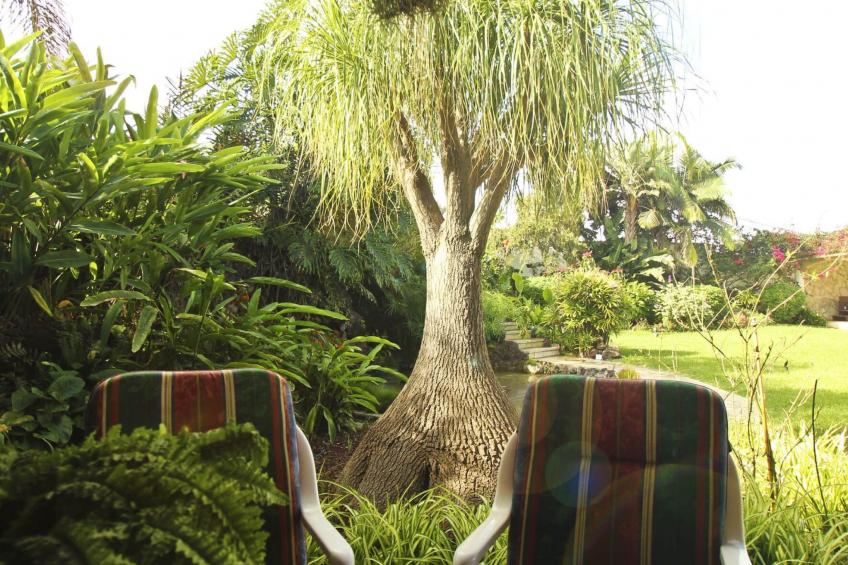 Finca Tocama - foto 15