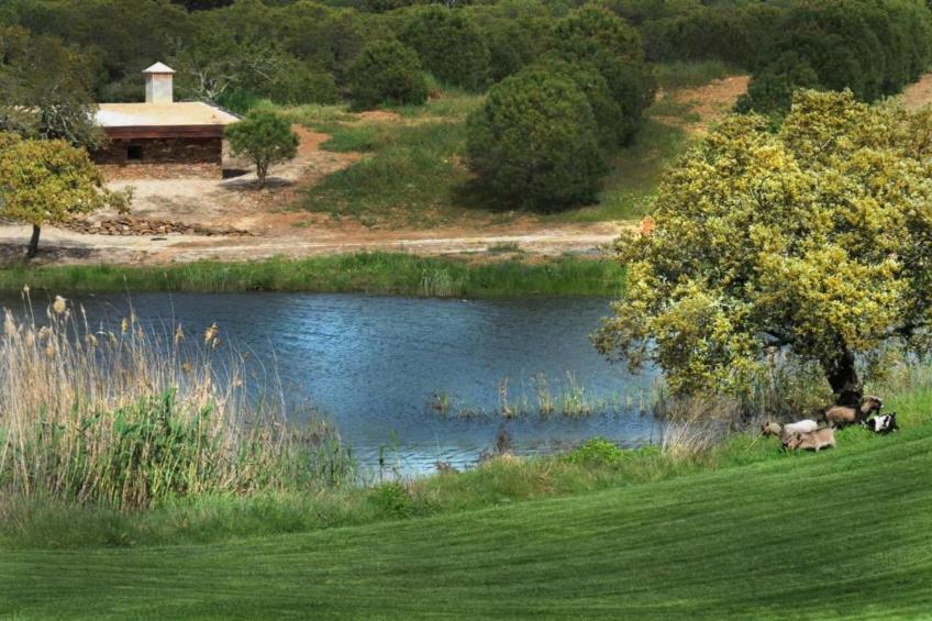 Casa do Forno de Pão - foto 38