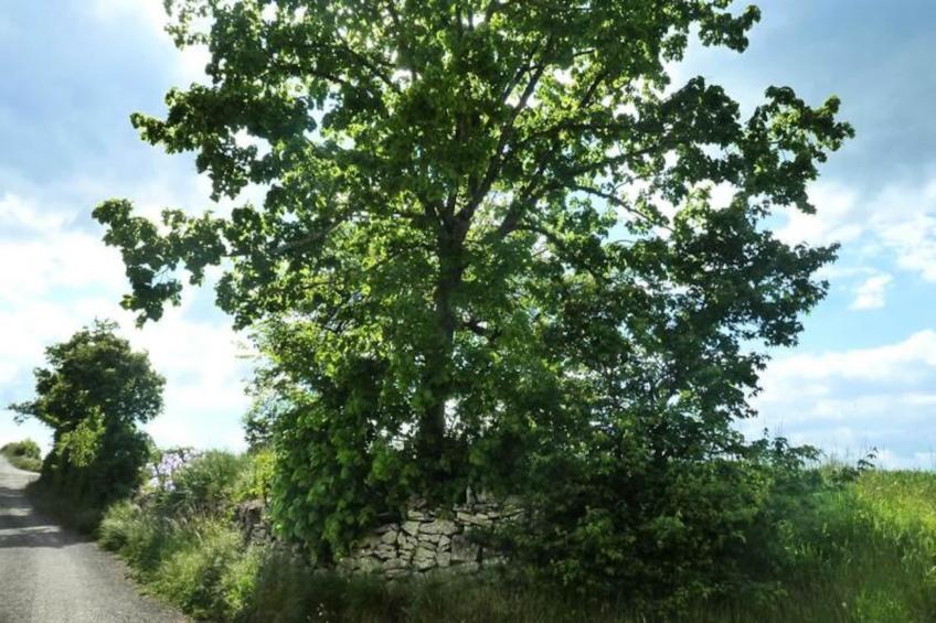 Gîte de France Gîte "la nature" 4 épis - foto 12