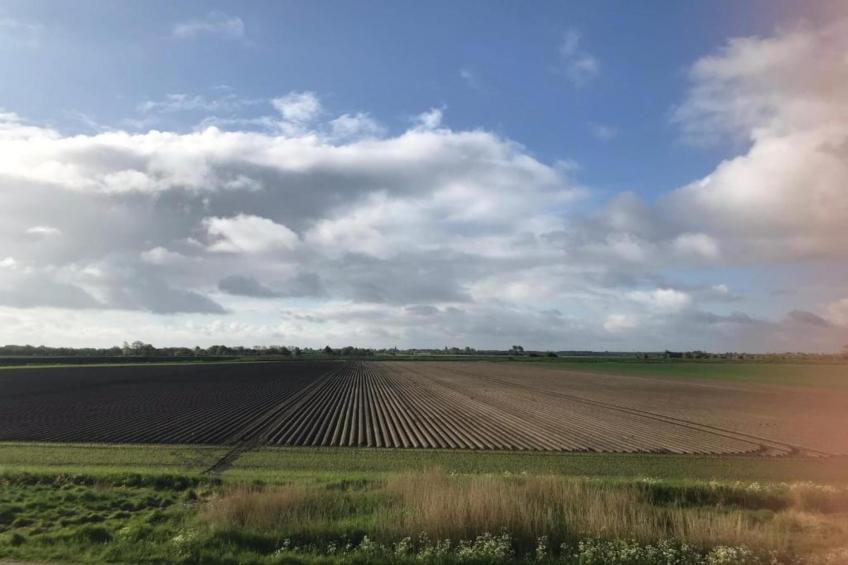 B&B de Gouwe Tijd - foto 14