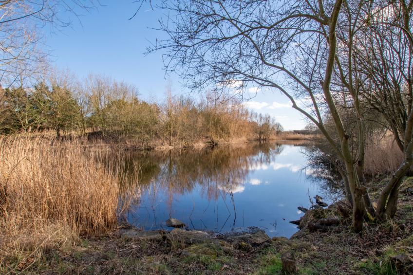 Hazel Rose Cottage - foto 7