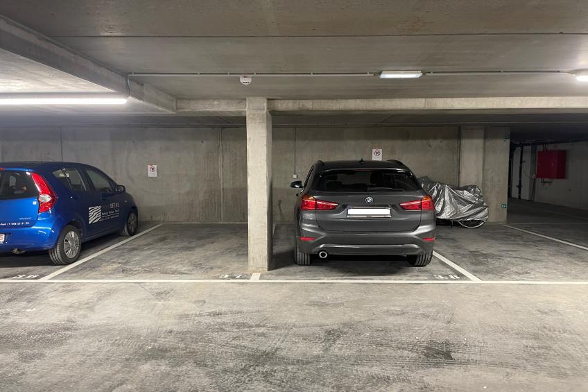 THE GREEN 0001PK - foto 20