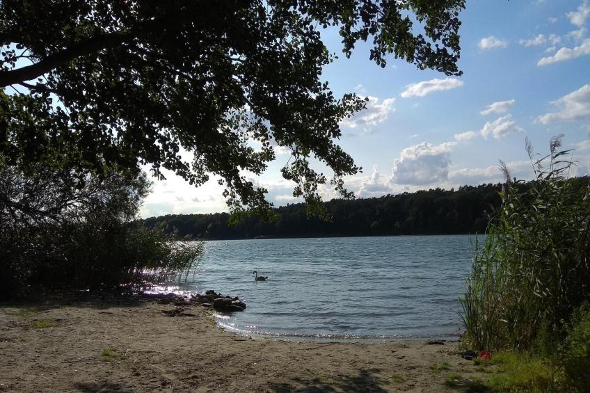 Luxus-Familienappartement / 3 Personen - foto 24