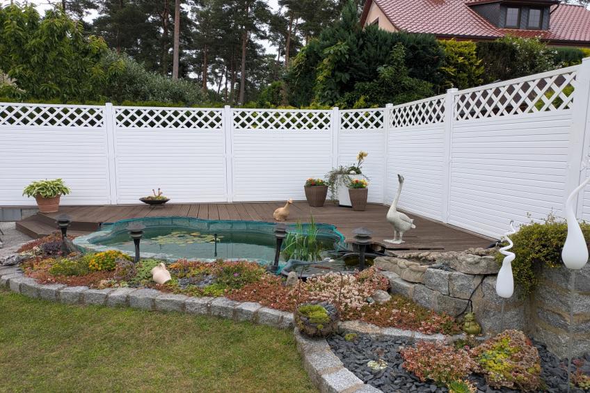 Sommerrose - foto 21