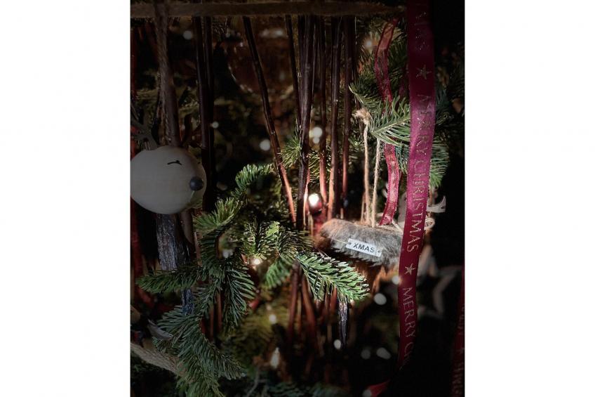 La Linotte - foto 37