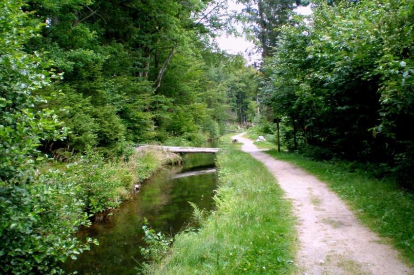 Vakantiepark Jägerwiesen - foto 20