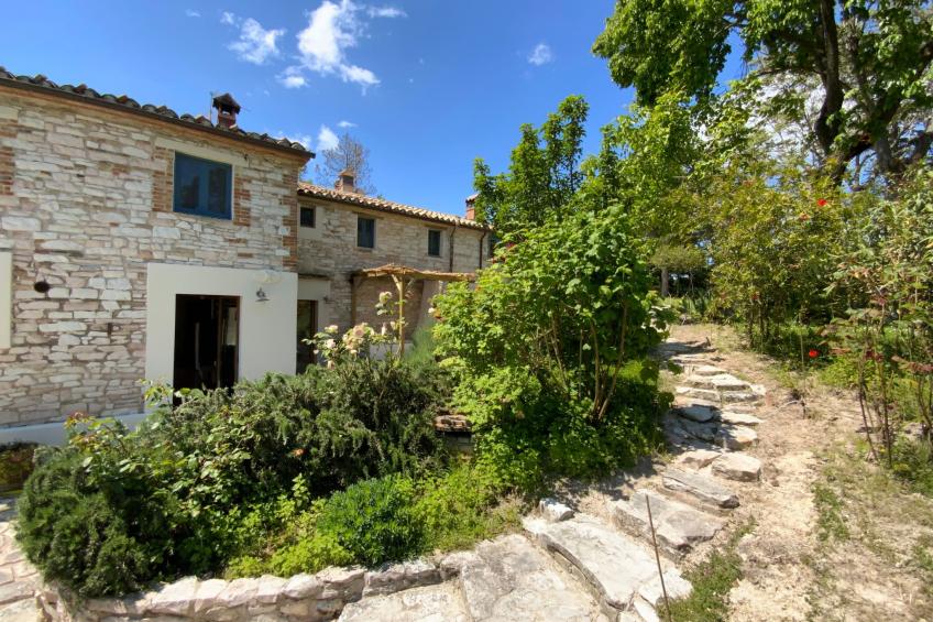 Monte Pino - foto 34