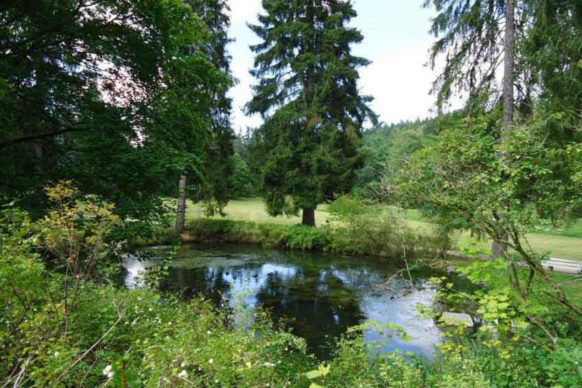 Bad Elster - foto 28