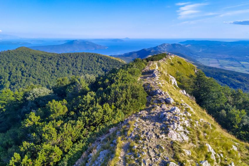 Sirotnjak 1 - foto 53