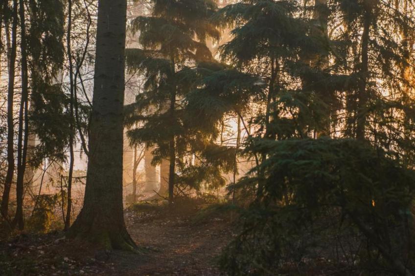 Haulervaart - foto 39