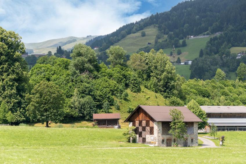 Penthouse Fuchs 1 - foto 34