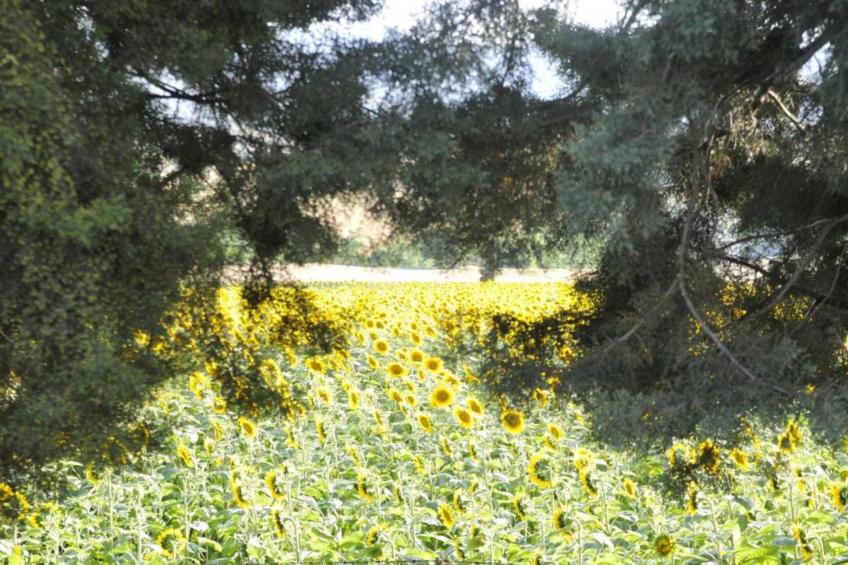 Binnella 10 - foto 23