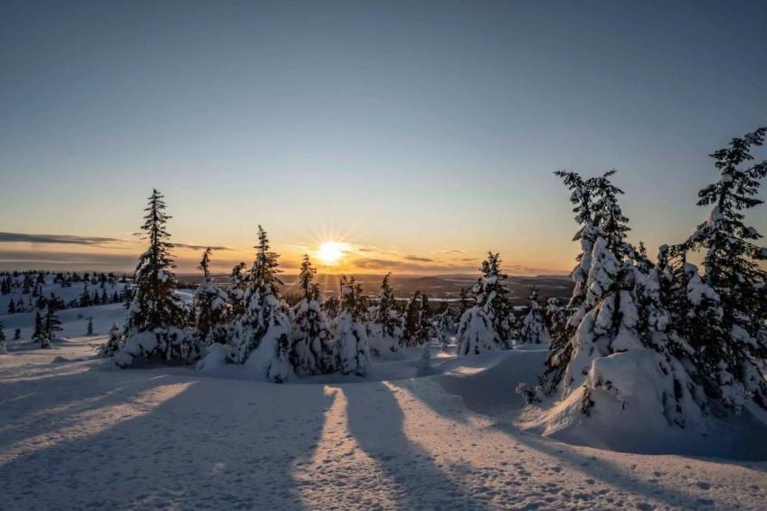 Villa Majringen - foto 31