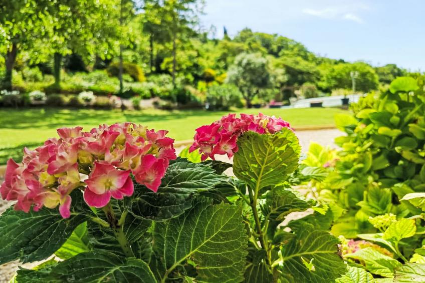 Douce campagne - foto 34