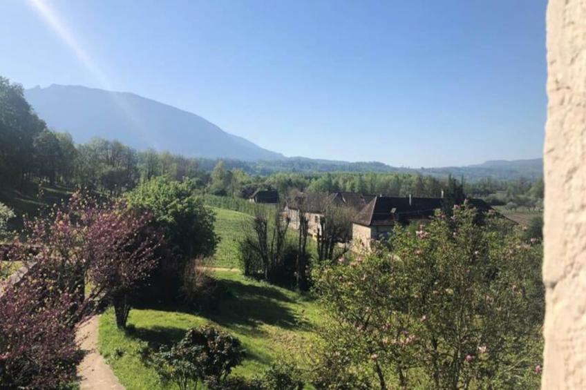 Maison De Charme Ancienne Entre Lacs Et Rhône - foto 37