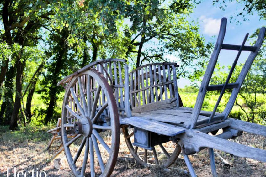 Petite Bastide | Domaine Tour Campanets - foto 27