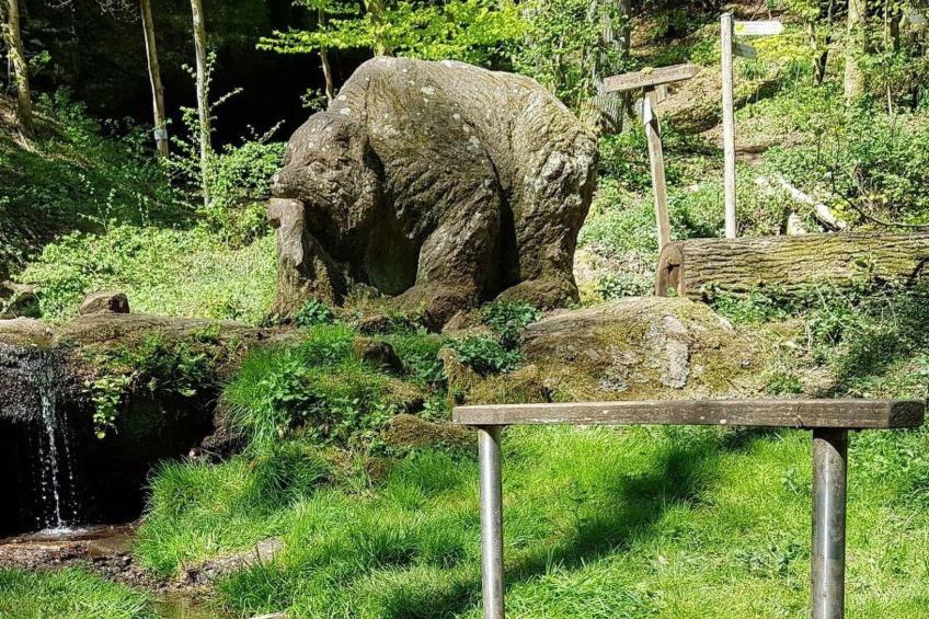 Gemütliches Ferienhaus mit Garten - foto 9