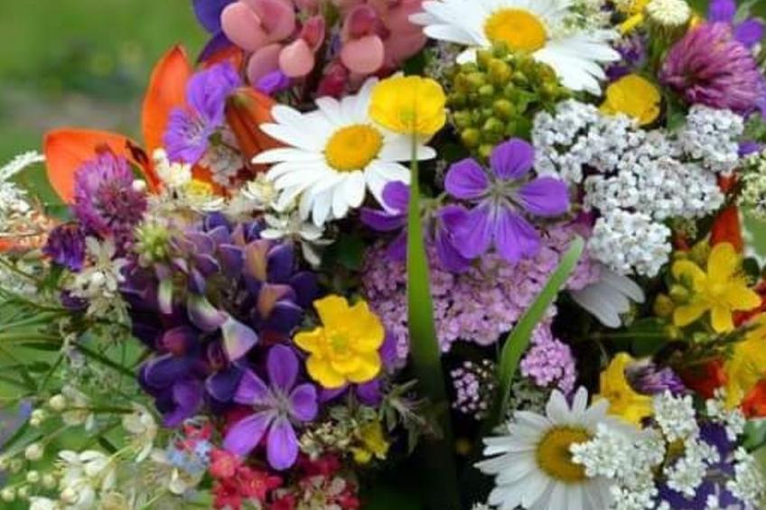 Bauernhaus-Wohnung bei Göta Älv in der Nähe von Göteborg - foto 19