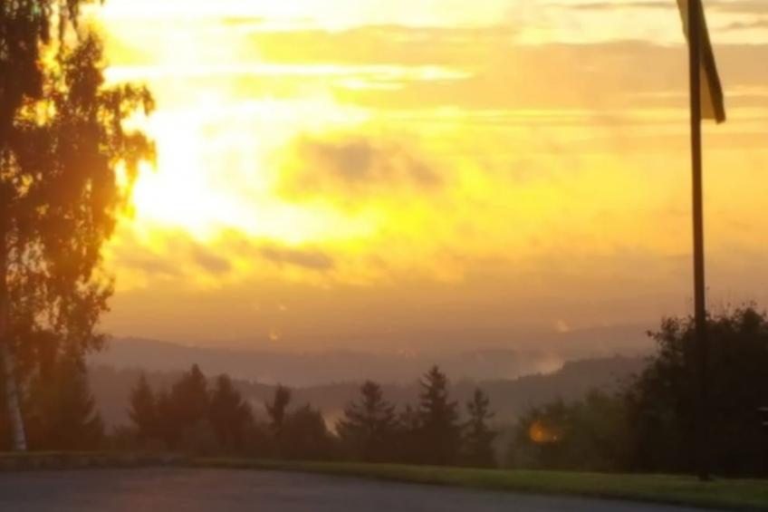 im Naturpark Steinwald - foto 18