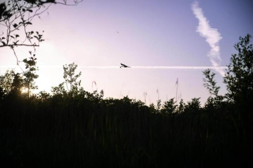 Singelhoeve - foto 25