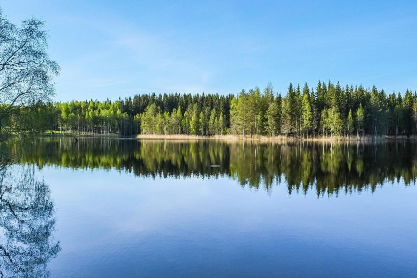 Väinämöinen - foto 5