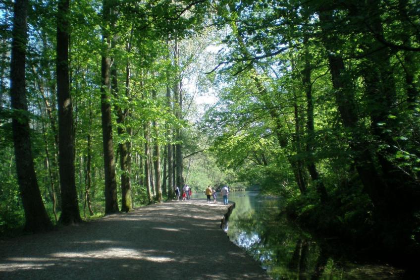 Le Clos du Hêtre - foto 30