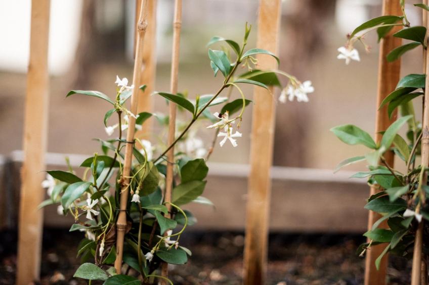 Park Haarle - foto 36