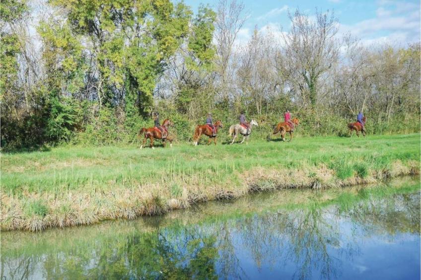 Au bord de l'eau - foto 34