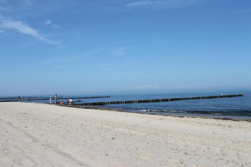 Im Grünen - foto 10