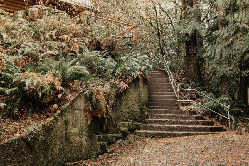 "81SL" mit Whirlpool - foto 2