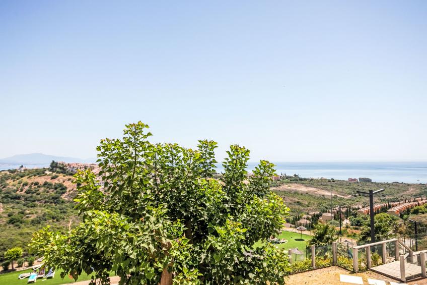 Small Oasis Manilva - foto 21