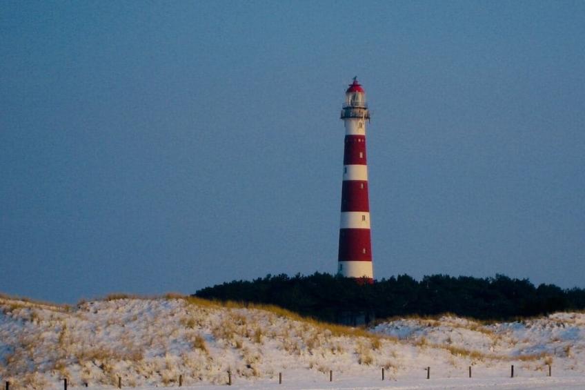 217826 - foto 31