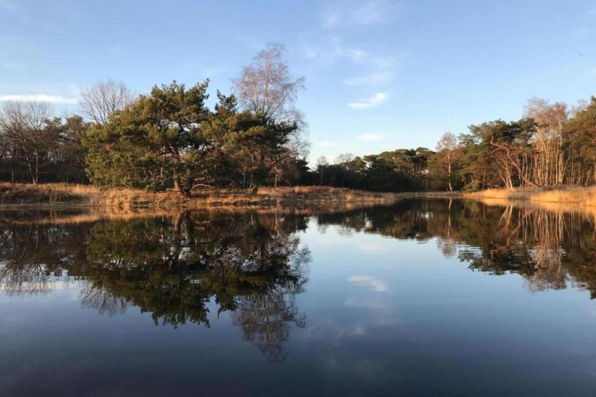 Dorpswoning Op Niveau 4 - foto 35