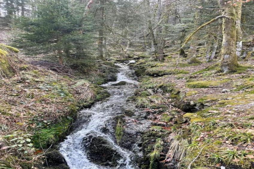 La Bergerie - foto 33