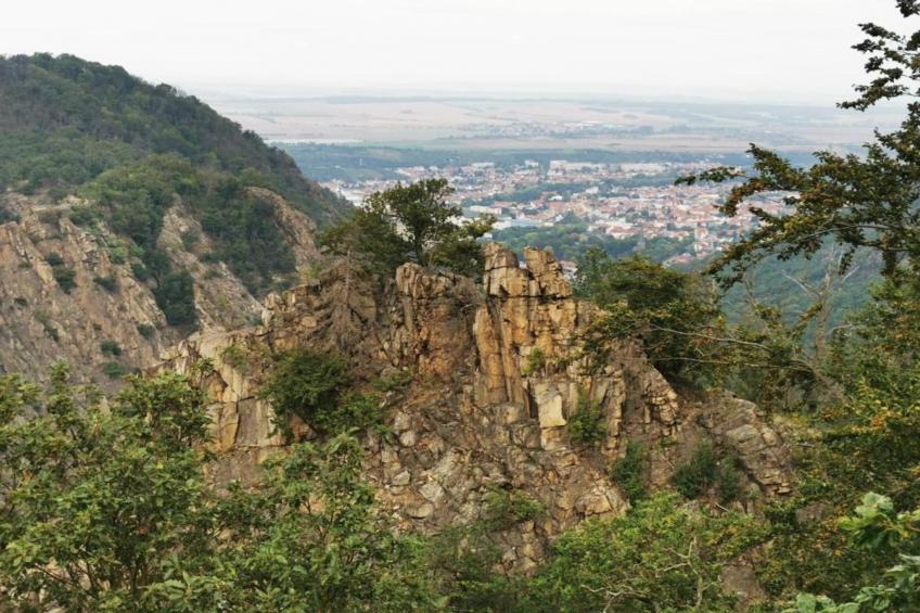 Meisdorf I - foto 29