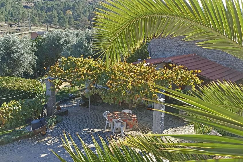 Ferien auf dem Bauernhof mit Weinberg - foto 40