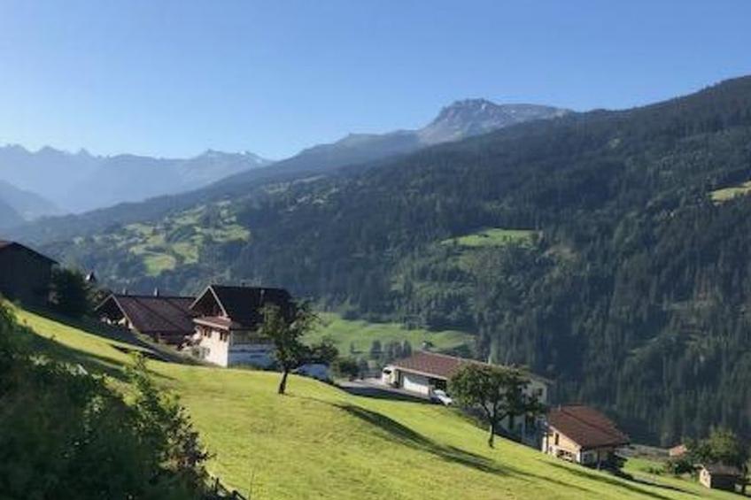 Ferienhaus Jukale, (Luzein), ferienhaus_jukale - foto 24