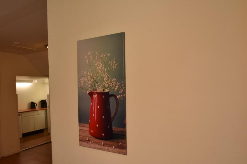 Robijn - foto 32