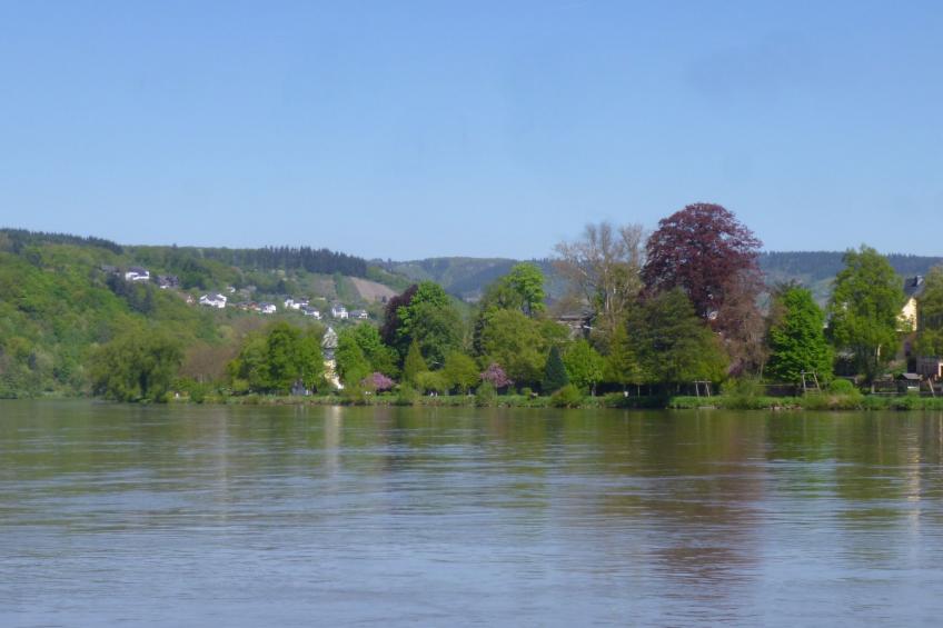 Moselschiefer-Traumferienwohnung am Moselufer - foto 38