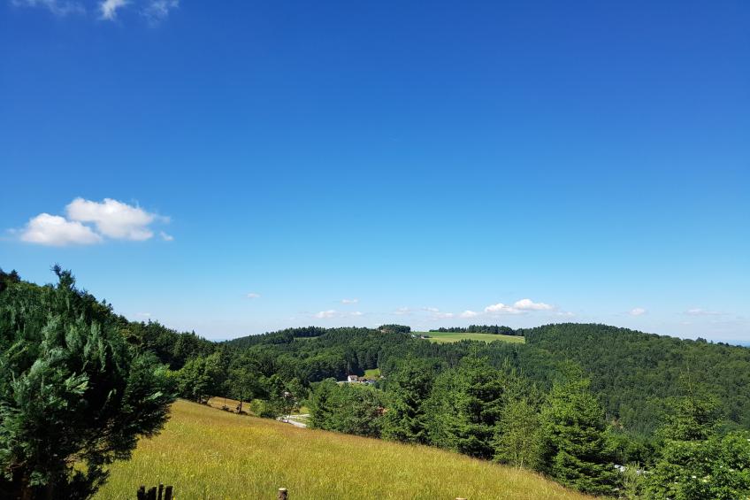 Talblick - foto 22