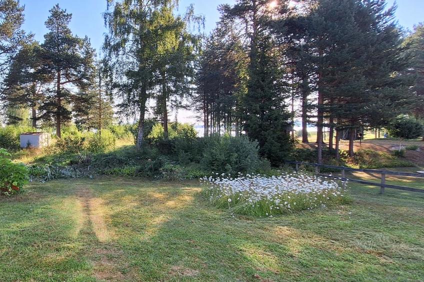 Kalamiehenkatu 6 - foto 2